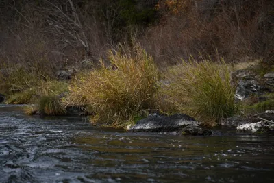 DSC_0212 (Large).JPG